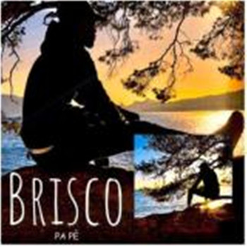 Brisco - BRISCO