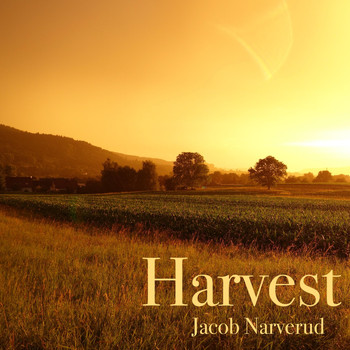 Jacob Narverud - Harvest (Live)