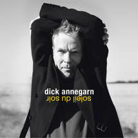 Dick Annegarn - Soleil du soir