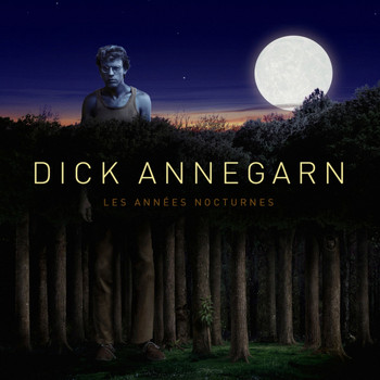 Dick Annegarn - Les années nocturnes