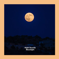 Night Sounds - Moonlight