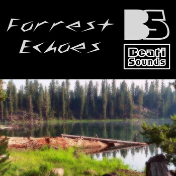 Beati Sounds - Forrest Echoes