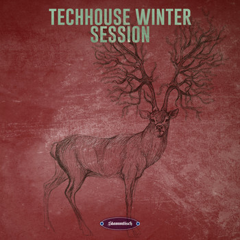 Various Artists - Techhouse Winter Session