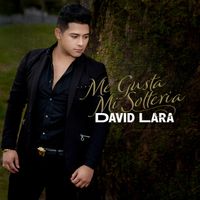 David Lara - Me Gusta Mi Solteria