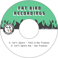 Tibio and Dub Troubles - Can't Ignore