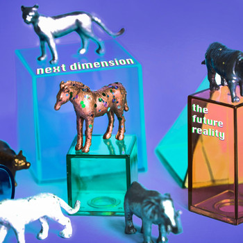 The Future Reality - Next Dimension