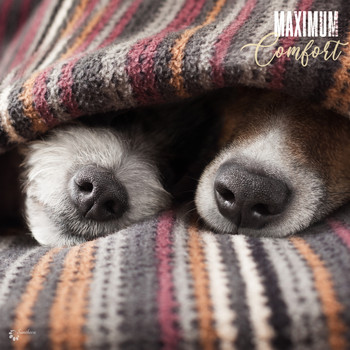 Various Artists - Maximum Comfort