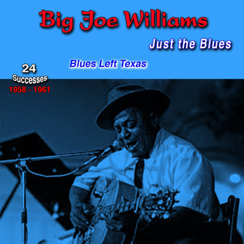 Big Joe Williams - Just the Blues, 1958-1961, (24 Successes) (Blues Left Texas)