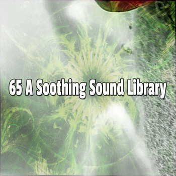 Sleep Baby Sleep - 65 A Soothing Sound Library