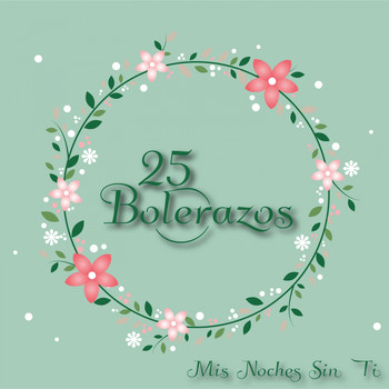 Various Artists - 25 Bolerazos / Mis Noches Sin Ti