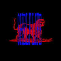 Elvin Brandhi - Shelf Life