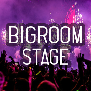 Various Artists - Bigroom Stage