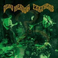Dead Meadow - Feathers