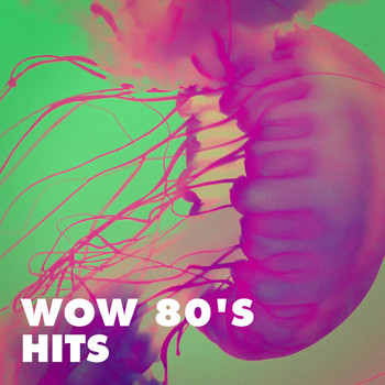 60's 70's 80's 90's Hits, The 80's Allstars, 80s Angels - Wow 80's Hits