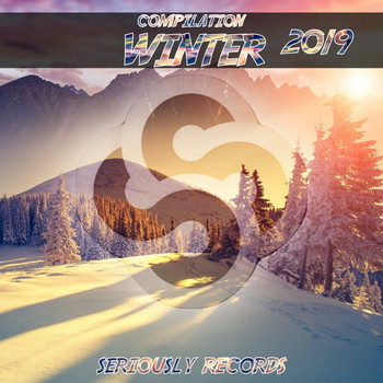 Various Artists - Seriously Records Presents Compilation Winter 2019
