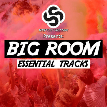 Various Artists - Seriously Records Presents: Big Room (Essential Tracks)