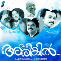 Srinivas - Arikil