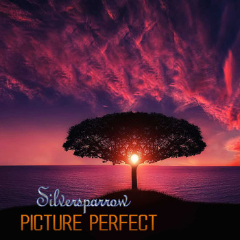 Silversparrow - Picture Perfect
