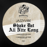 Jazzyvibe - Shake Dat All Nite Long