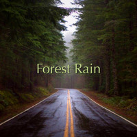 Rain Studios - Forest Rain