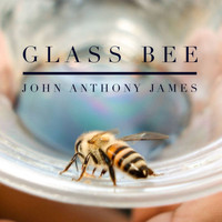 John Anthony James - Glass Bee (Remastered & Expanded)