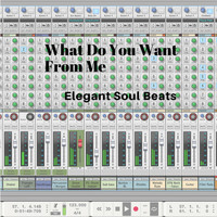 Elegant Soul Beats - What Do You Want From Me