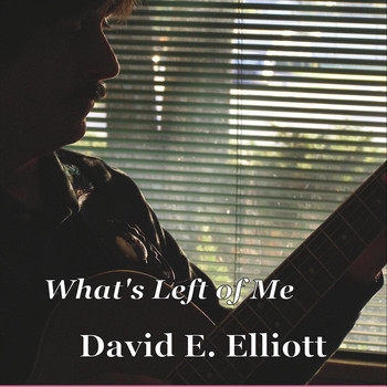 David E. Elliott - What's Left of Me