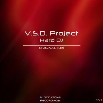 V.S.D. Project - Hard DJ
