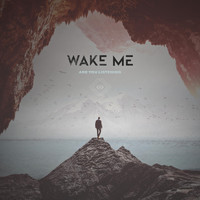 Wake Me - Are You Listening