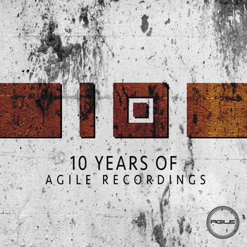 Various Artists - 10 YEARS OF AGILE RECORDINGS