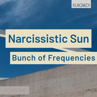 Bunch of Frequencies - Narcissistic Sun