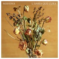 Mishima - L'ànsia que cura