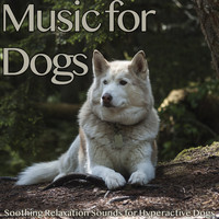 RelaxMyDog, Dog Music Dreams, and Pet Music Therapy - Music for Dogs: Soothing Relaxation Sounds for Hyperactive Dogs
