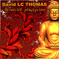 DAVID LC THOMAS - Sensitive Perception