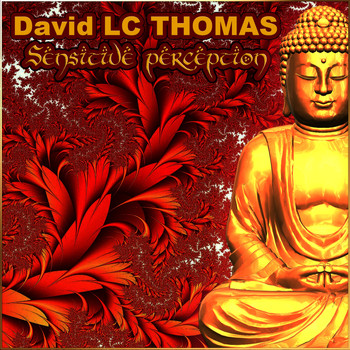 David LC Thomas - Sensitive Perception
