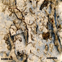 Sonis Rai - Amnesia