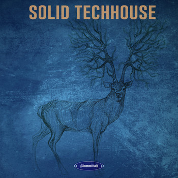 Various Artists - Solid Techhouse