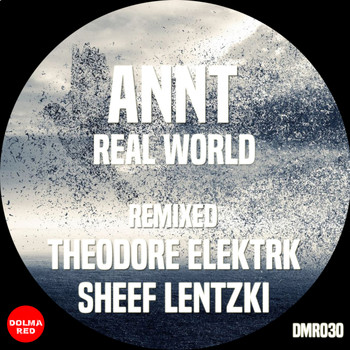 ANNT - Real World