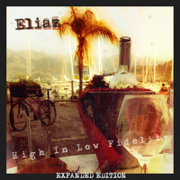 Eliaz - High in Low-Fidelity