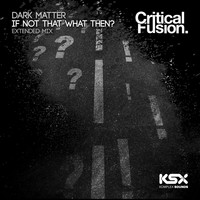 Dark Matter - If Not That What Then?