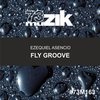 Ezequiel Asencio - Fly Groove