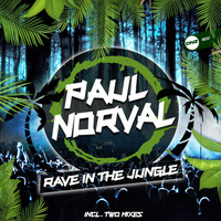 Paul Norval - Rave In The Jungle