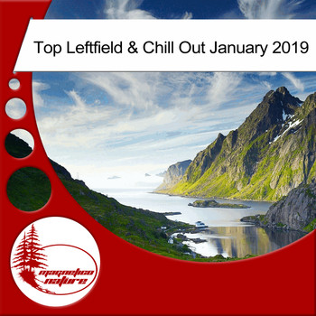 Various Artists - Top Leftfield & Chill Out January 2019