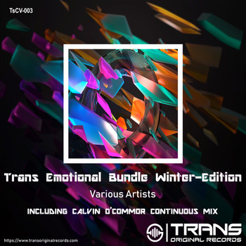 Various Artists - Trans Emotional Bundle Winter-Edition
