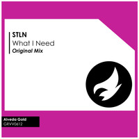 STLN - What I Need