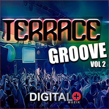 Various Artists - Terrace Groove, Vol. 2