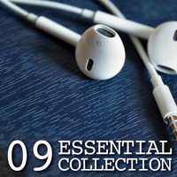 Insane House - Essential Collection 09