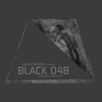 Various Artists - Black 048