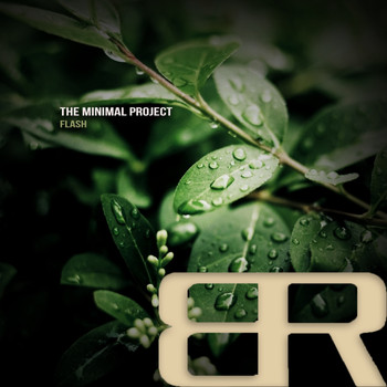 The Minimal Project - Flash
