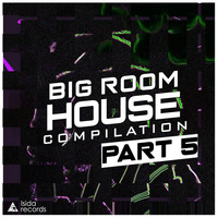 DestroyedBird - Big Room House Compilation, Pt. 5